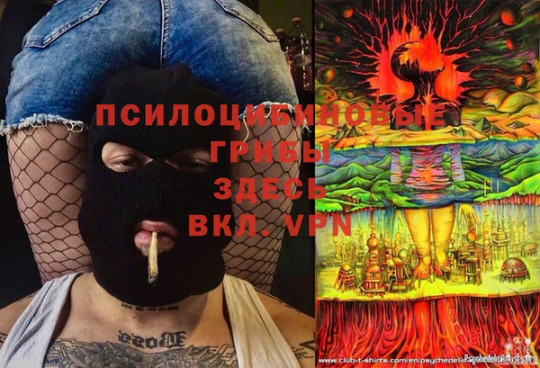 твердый Вяземский