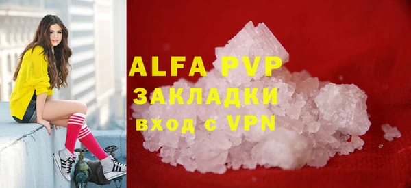 твердый Вяземский