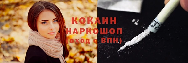 твердый Вяземский