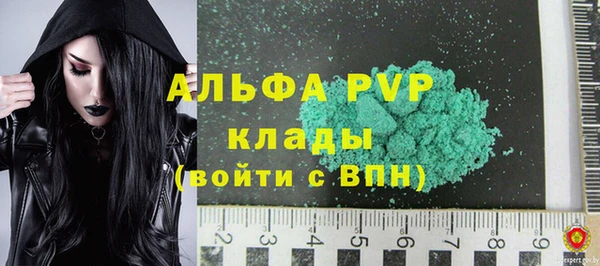 твердый Вяземский