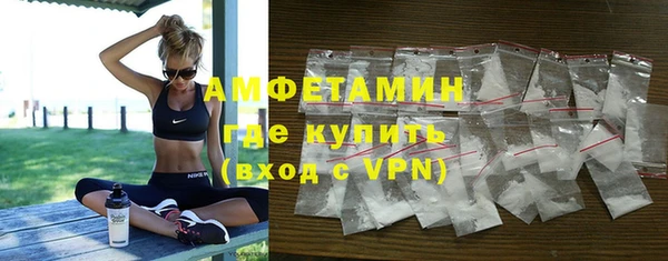 твердый Вяземский