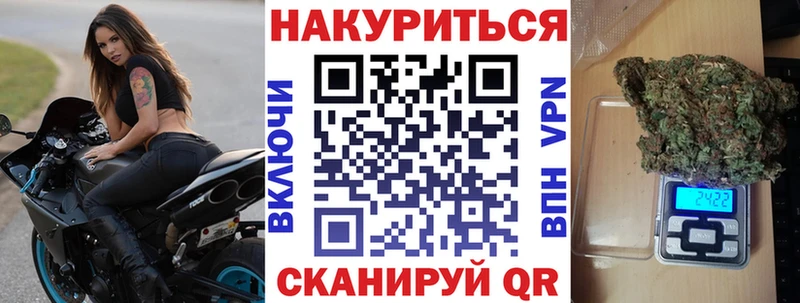 Марихуана сатива  MEGA зеркало  Новошахтинск 